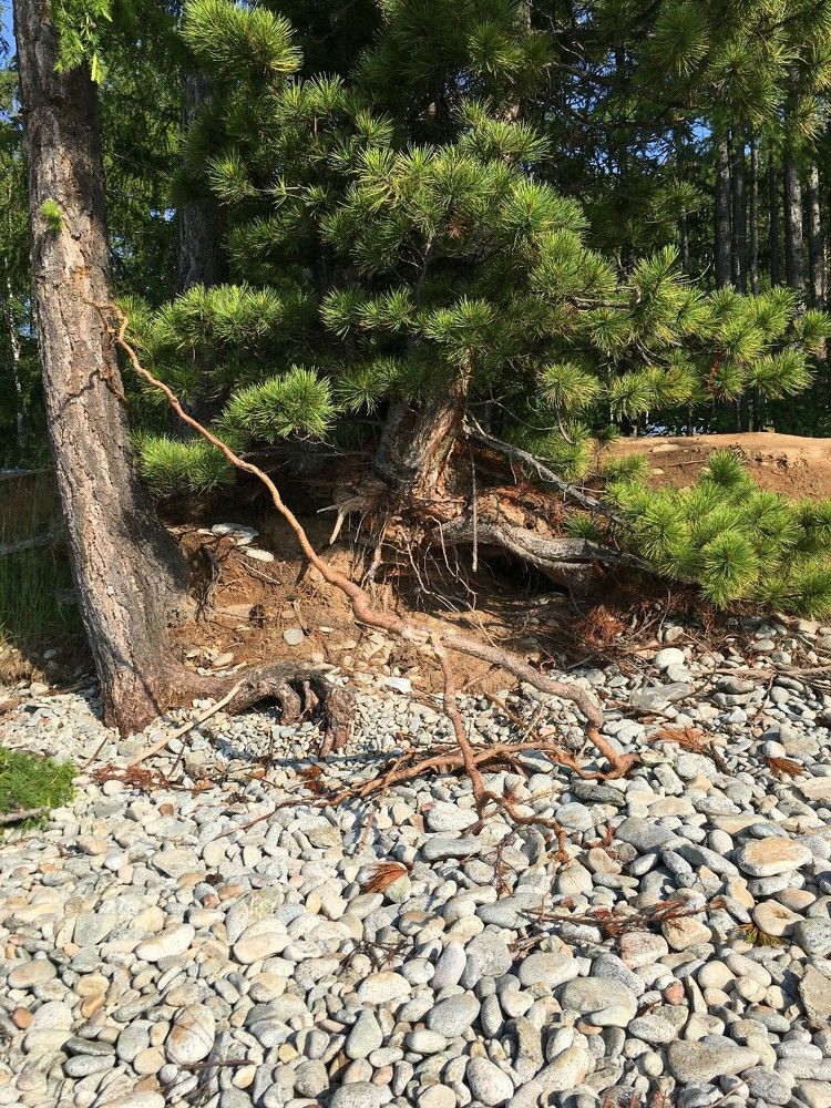 Photograph by юлия