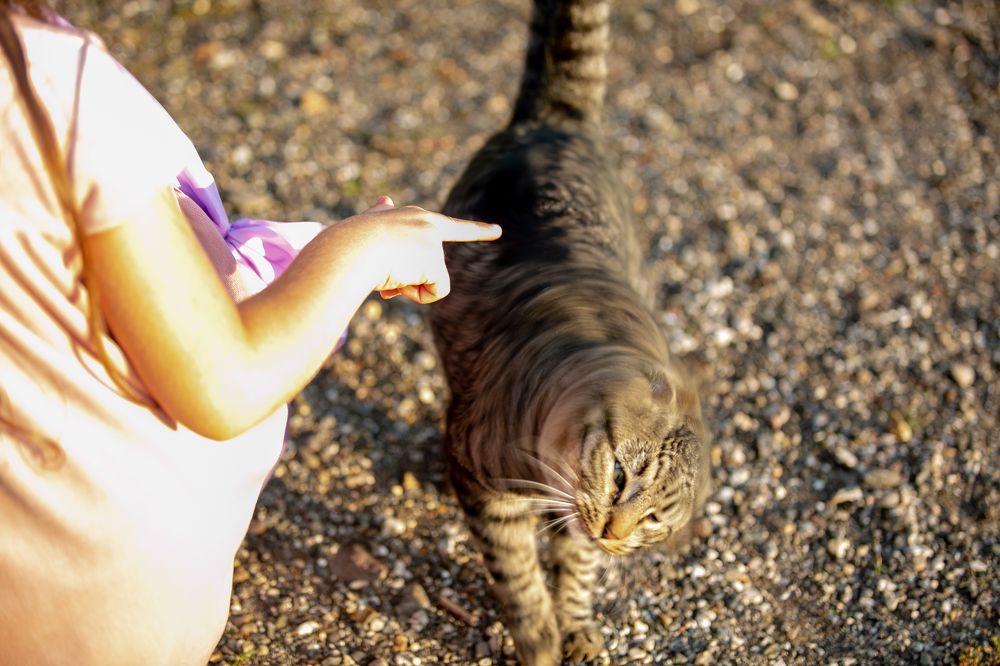 Photograph by Наталья Катюжанская