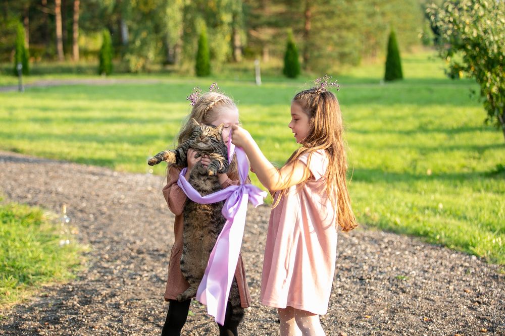 Photograph by Наталья Катюжанская