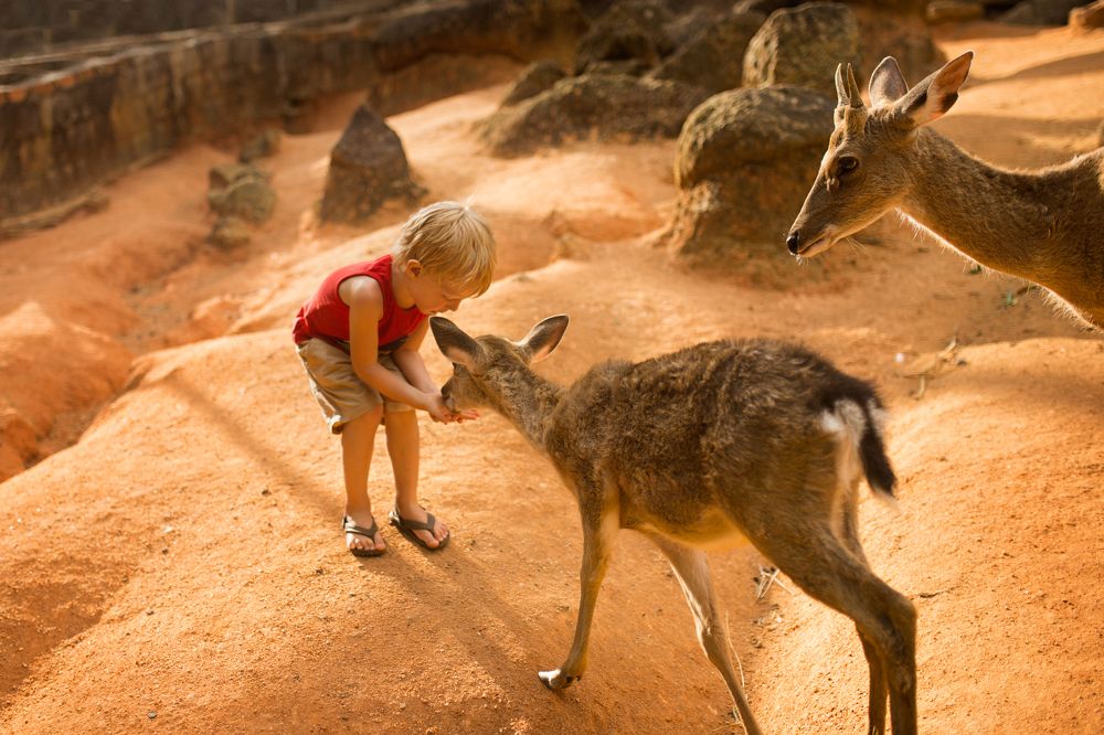 Photograph by Алена Федосова