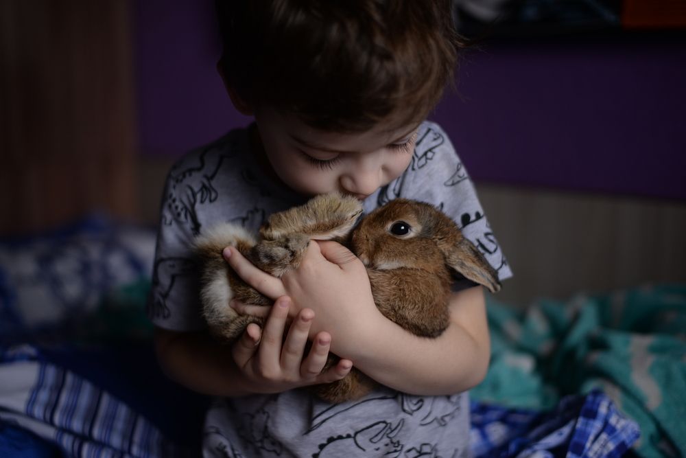 Photograph by Любовь Бузыкина