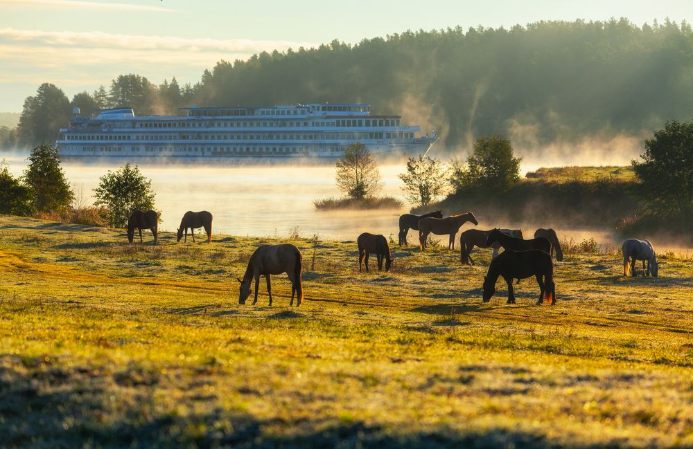 Photograph by Андрей Олонцев