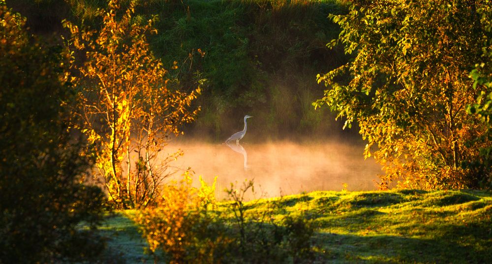 Photograph by Андрей Олонцев