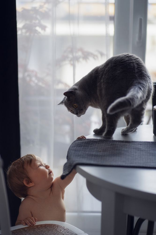 Photograph by Valentyna Sherstiuk