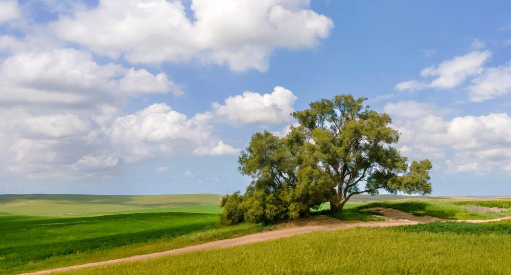 Photograph by Михаил Домешек