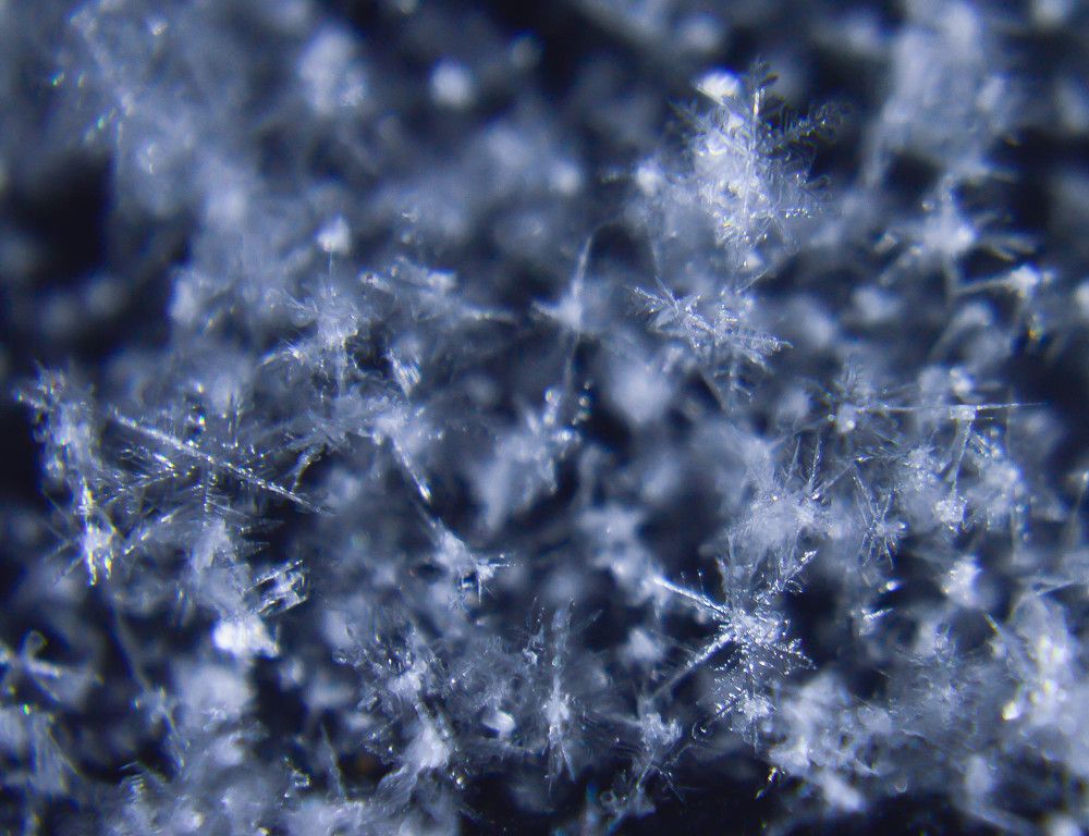 Photograph by Наталья Мордовская