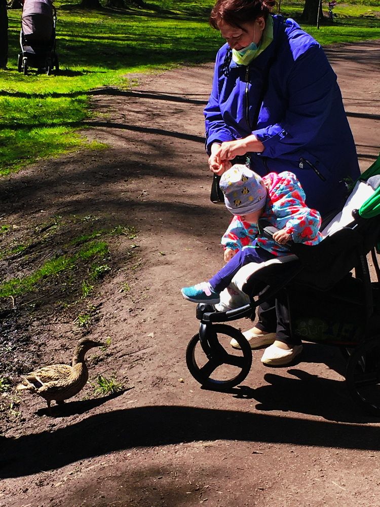 Photograph by Анатолий Протасов