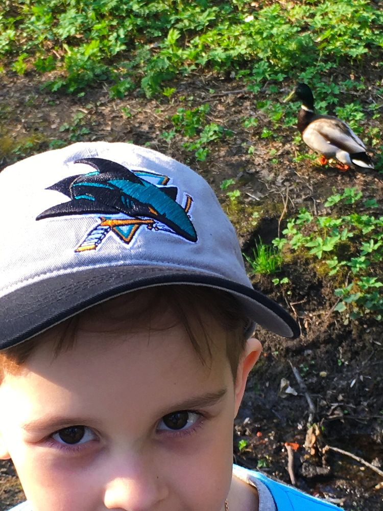 Photograph by Анатолий Протасов