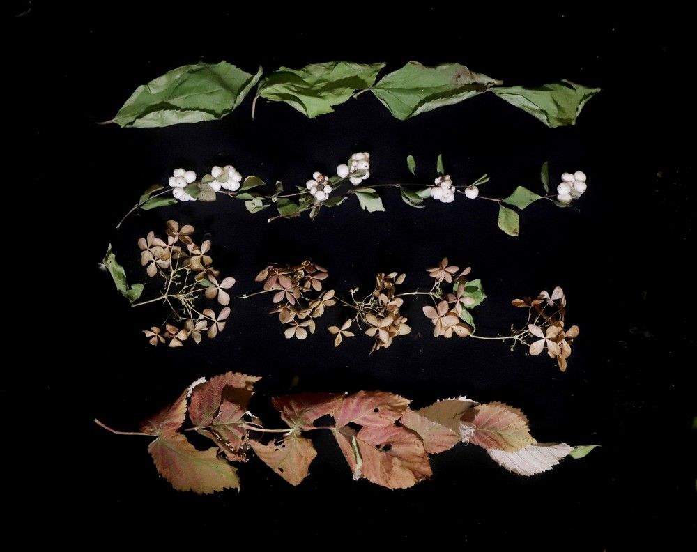 Photograph by Лада Денисова