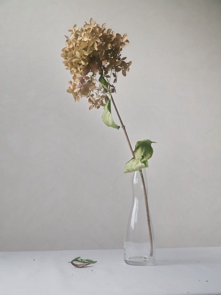 Photograph by Лада Денисова