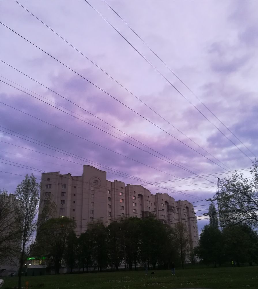 Photo #6511343