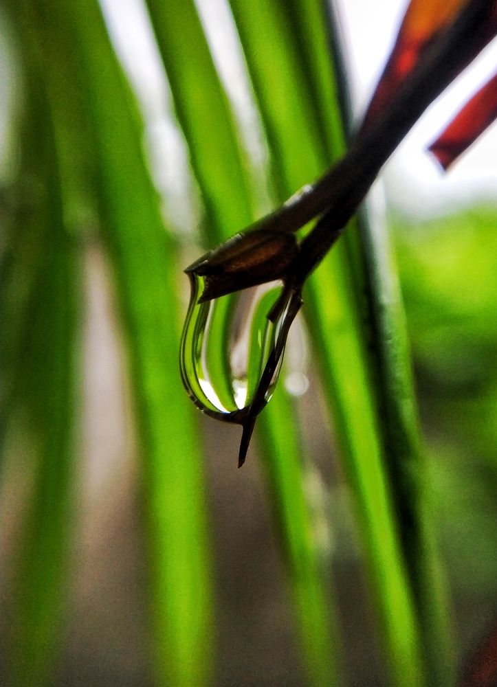 Photograph by somal gupta