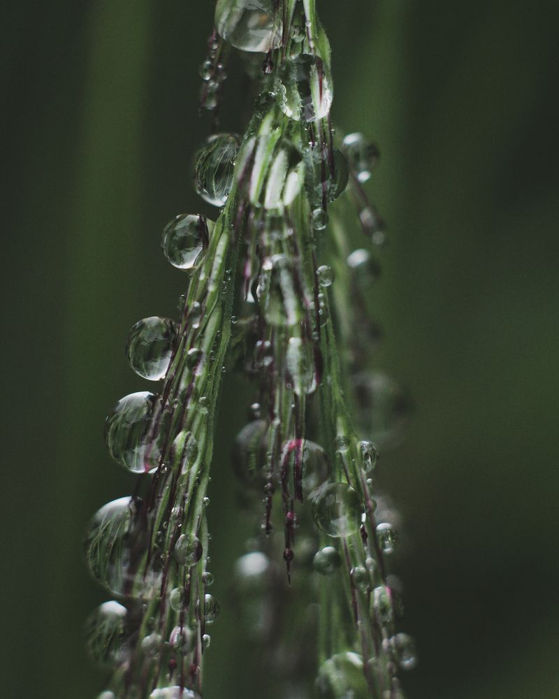 Photograph by Виктория Шлёпина