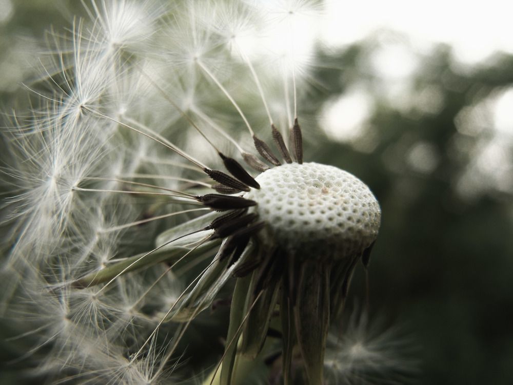Photograph by Виктория Шлёпина