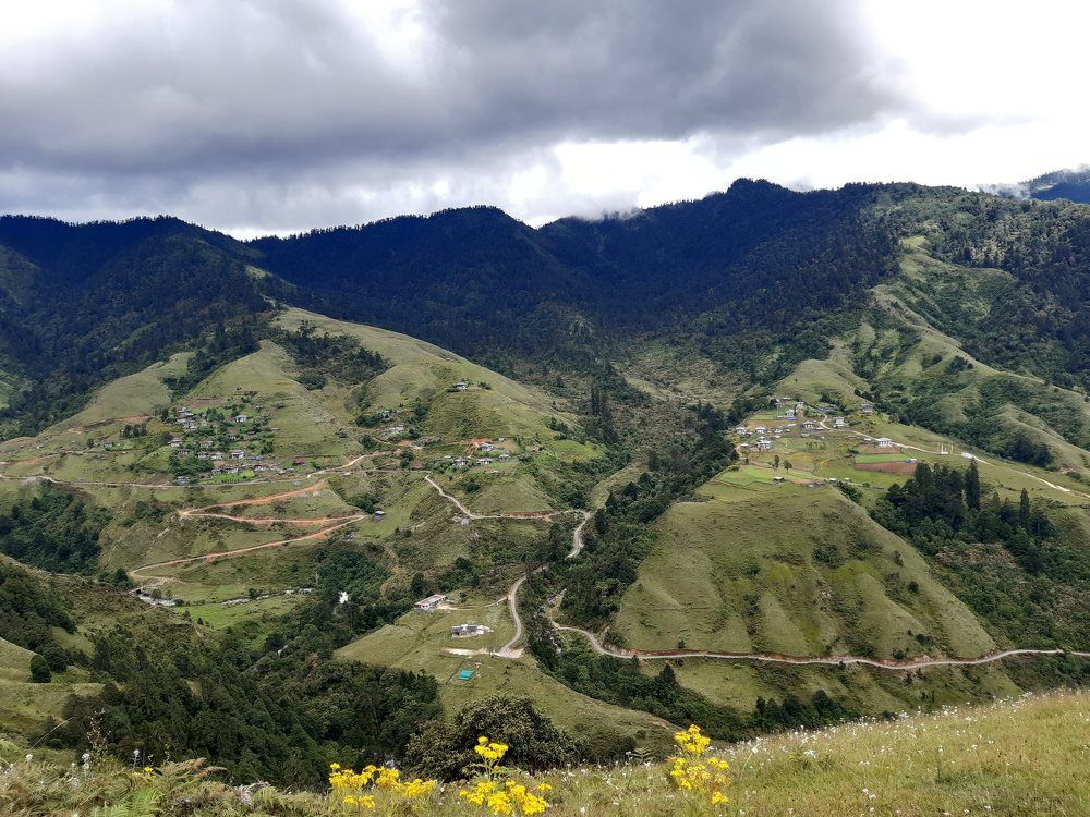 Photo #6511412