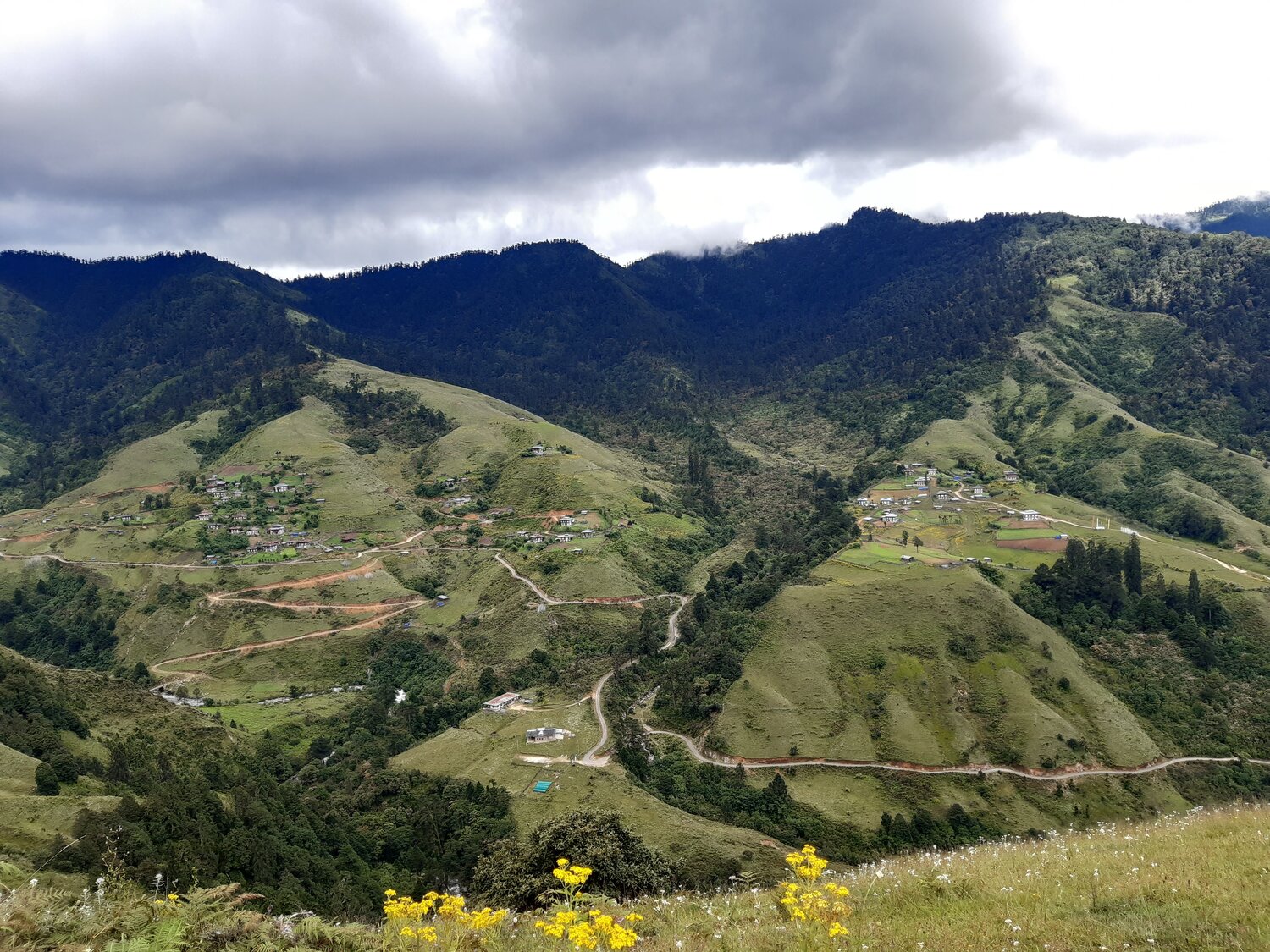 Photo #6511412