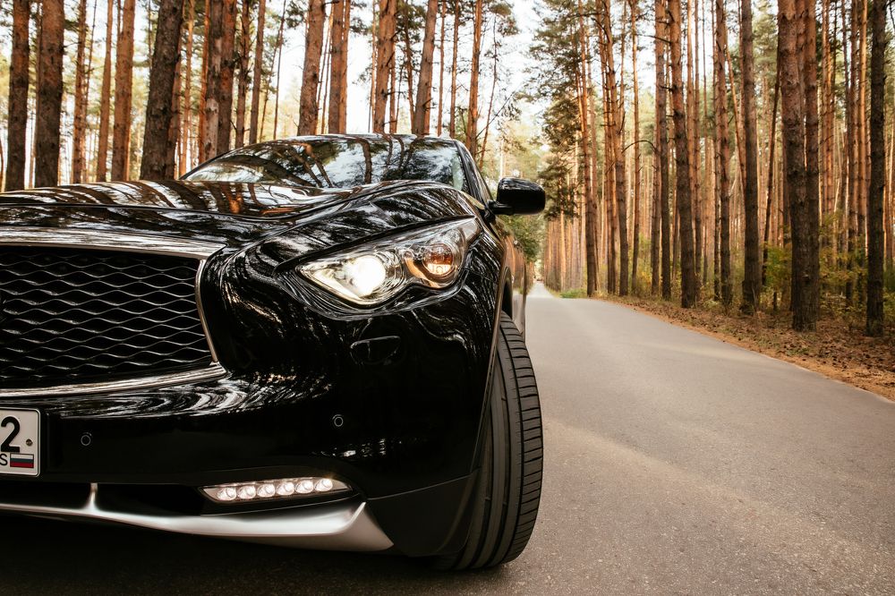 Photograph by Городничева Елена