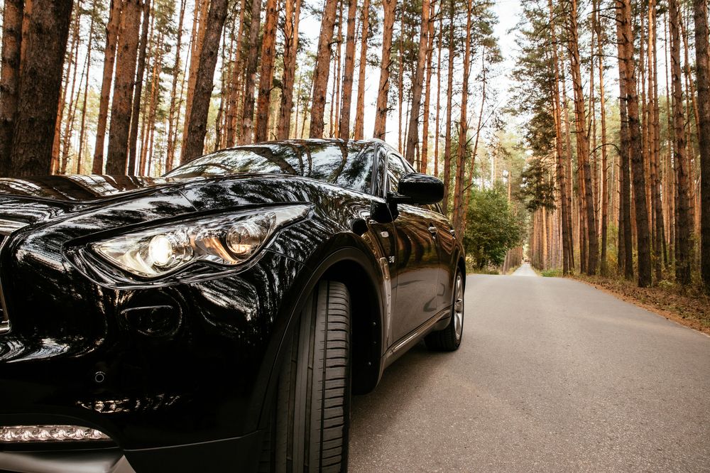 Photograph by Городничева Елена