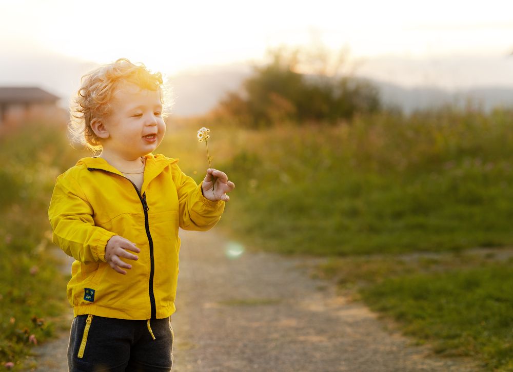 Фотография автора Анна Листишенко