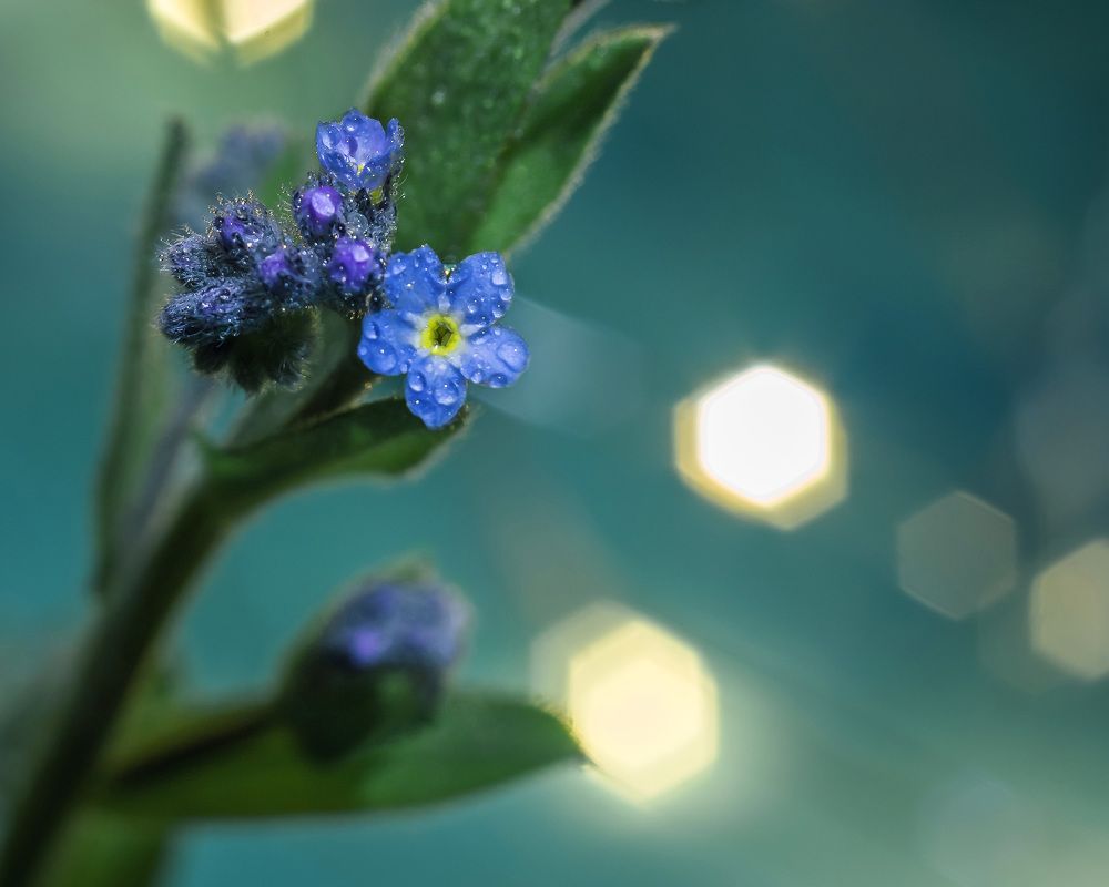 Photograph by Александр Яровой