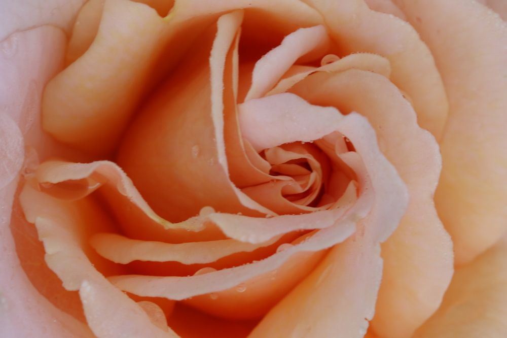 Photograph by Pauline Doran