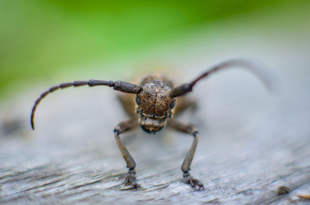 Photograph by Сергей Глухарев