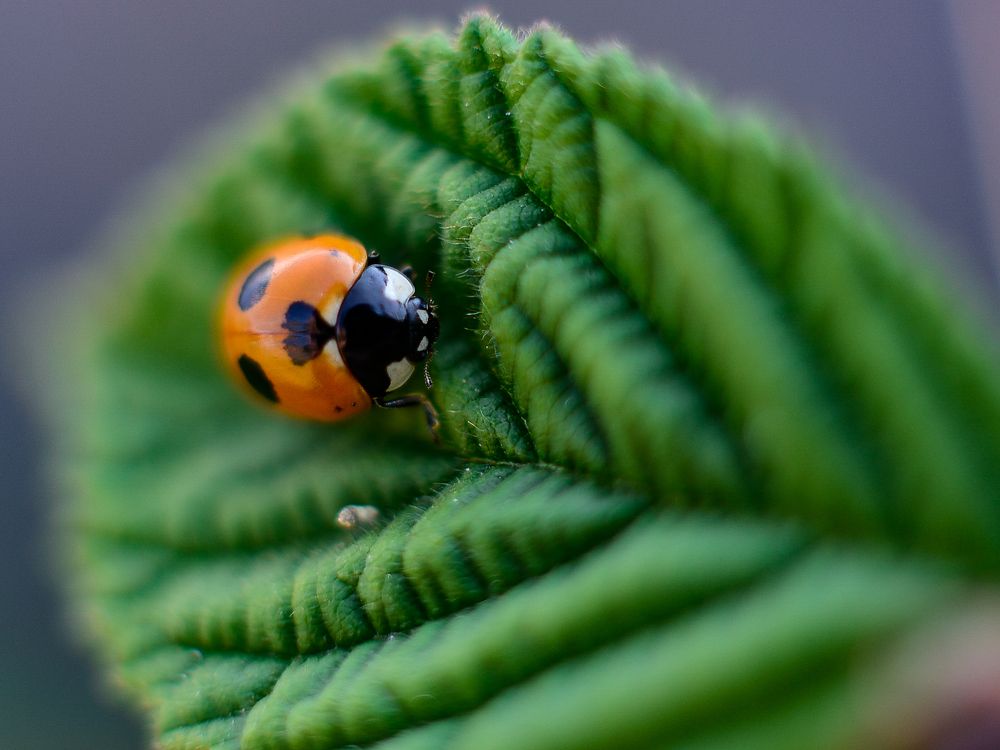 Photograph by Сергей Глухарев