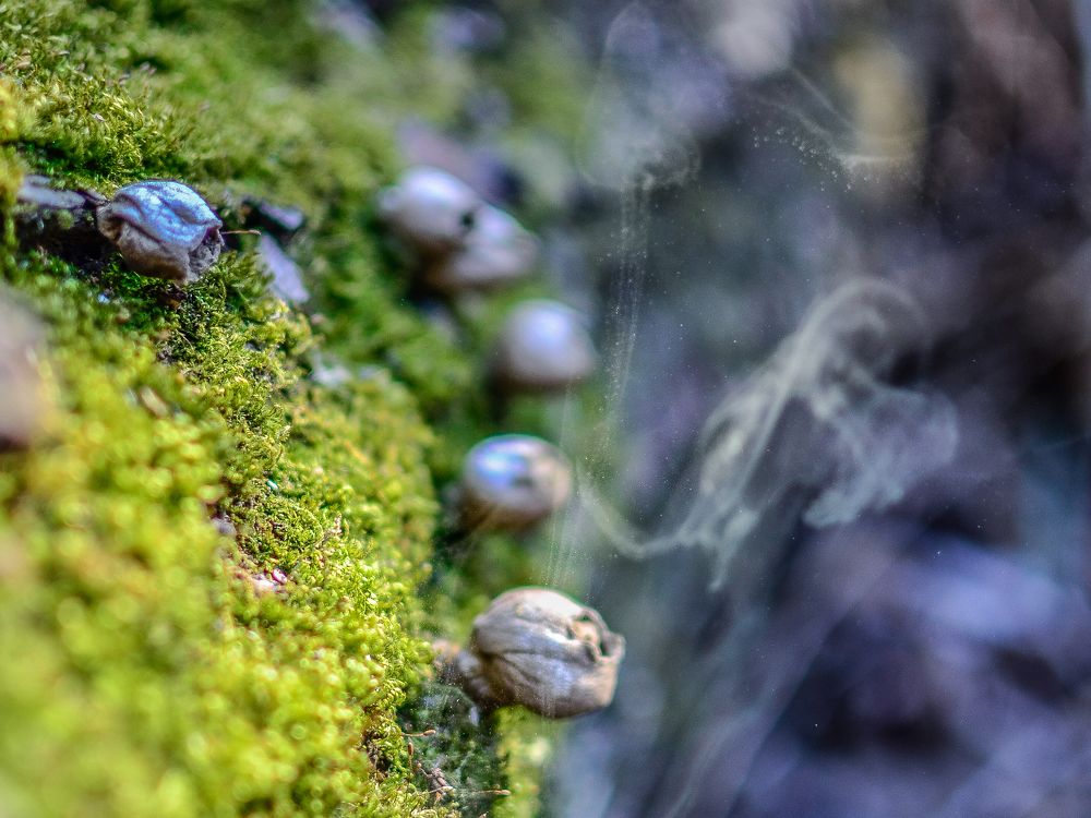 Photograph by Сергей Глухарев