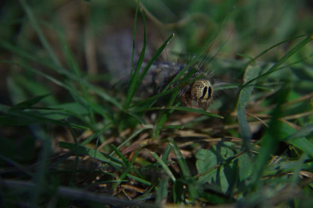 Photograph by Ольга Минакова