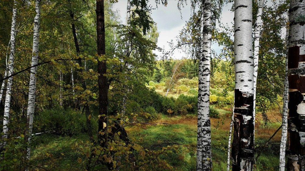 Photograph by Людмила Колеватова