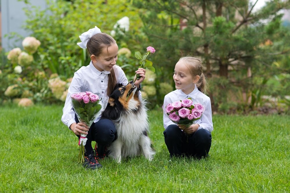 Photograph by Ирина Макарова