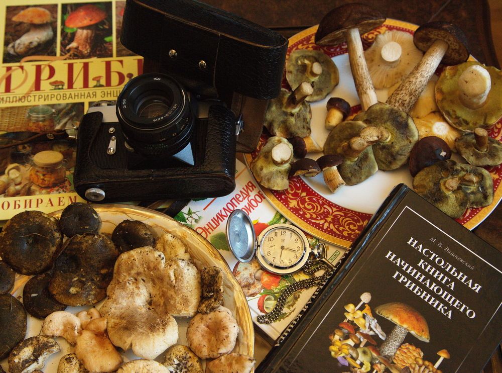 Photograph by Анатолий Протасов