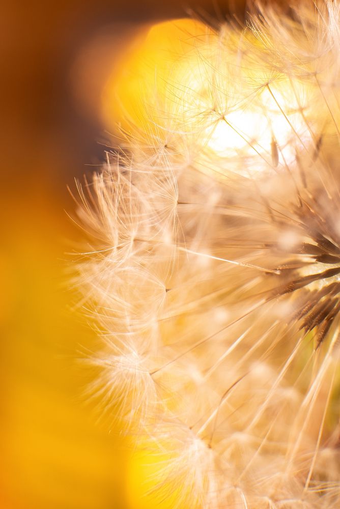 Photograph by Любовь Парфенова