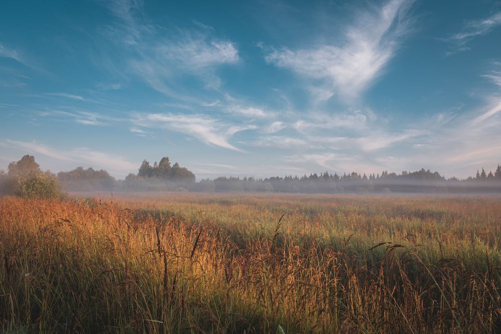 Photograph by Андрей Васильев