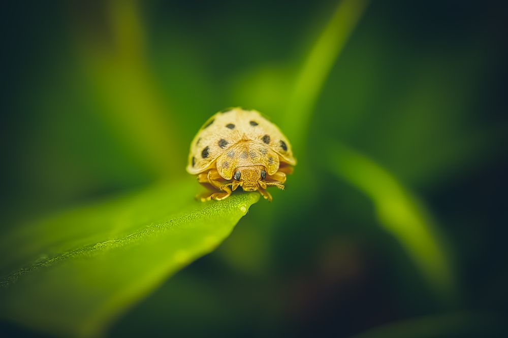 Photograph by Dhruv Chauhan