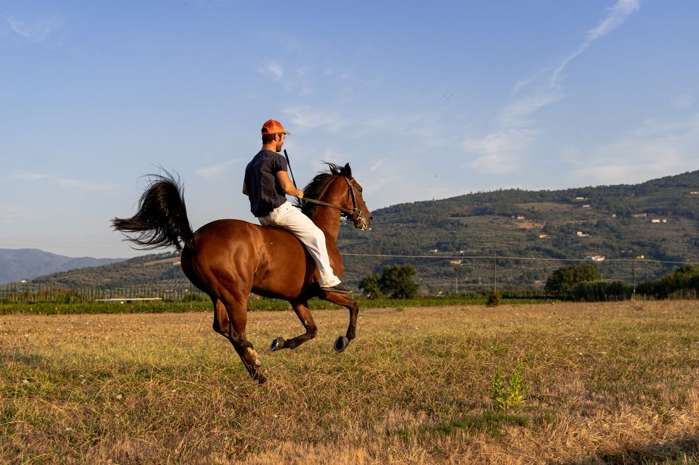 Фотография автора Нина Кулишова