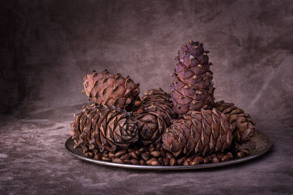 Photograph by Алексей и Юлия Дарьины