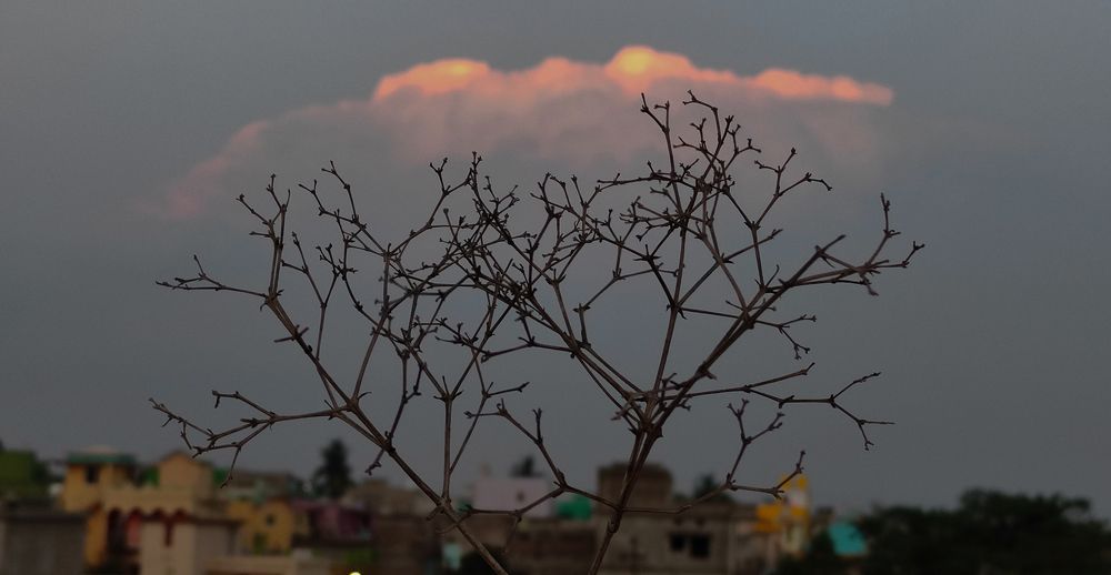 Photograph by Alka Priyadarshinee