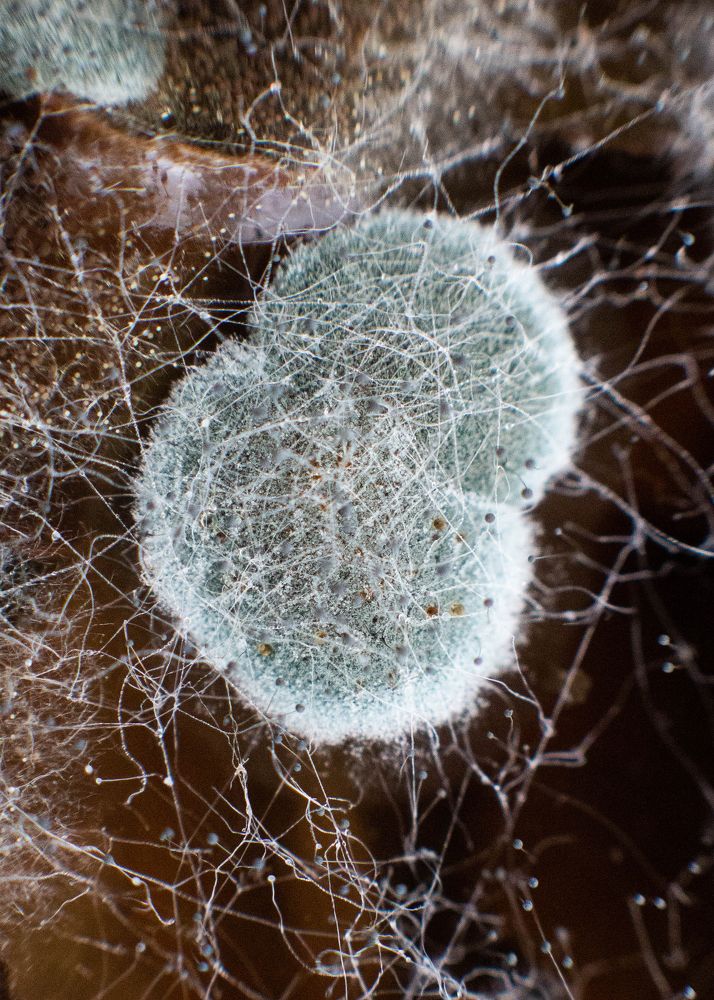 Photograph by Elena Lagutina