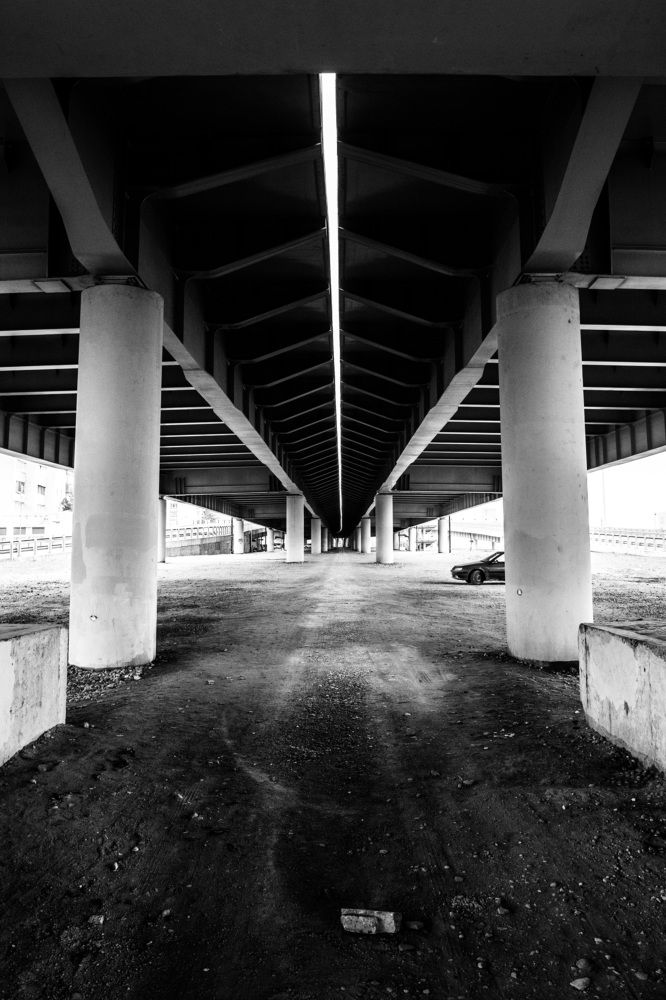 Photograph by Евгений Моляшов