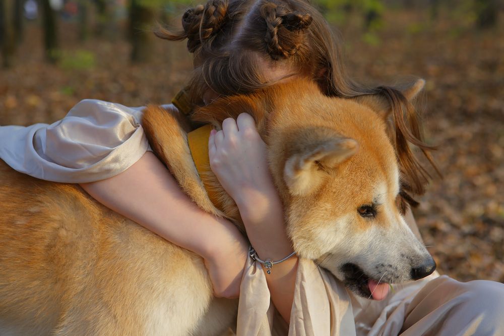 Photograph by Виктория Зоткина