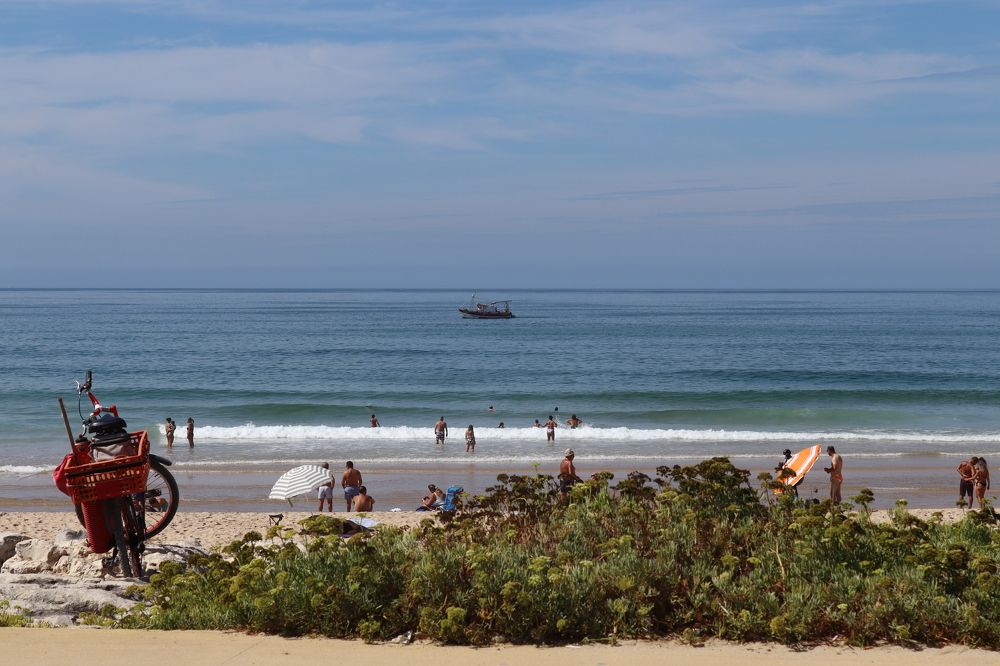 Photograph by José António Garcia Ferreira de Almeida