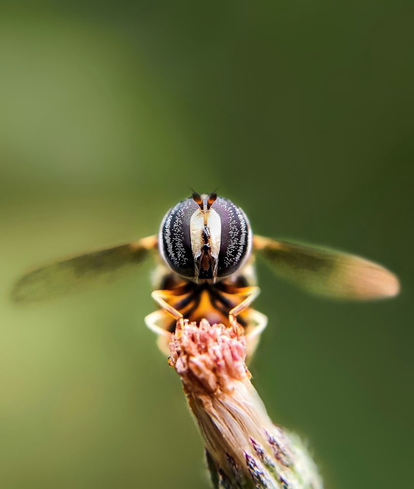 Фотография автора Subhash Devadeth