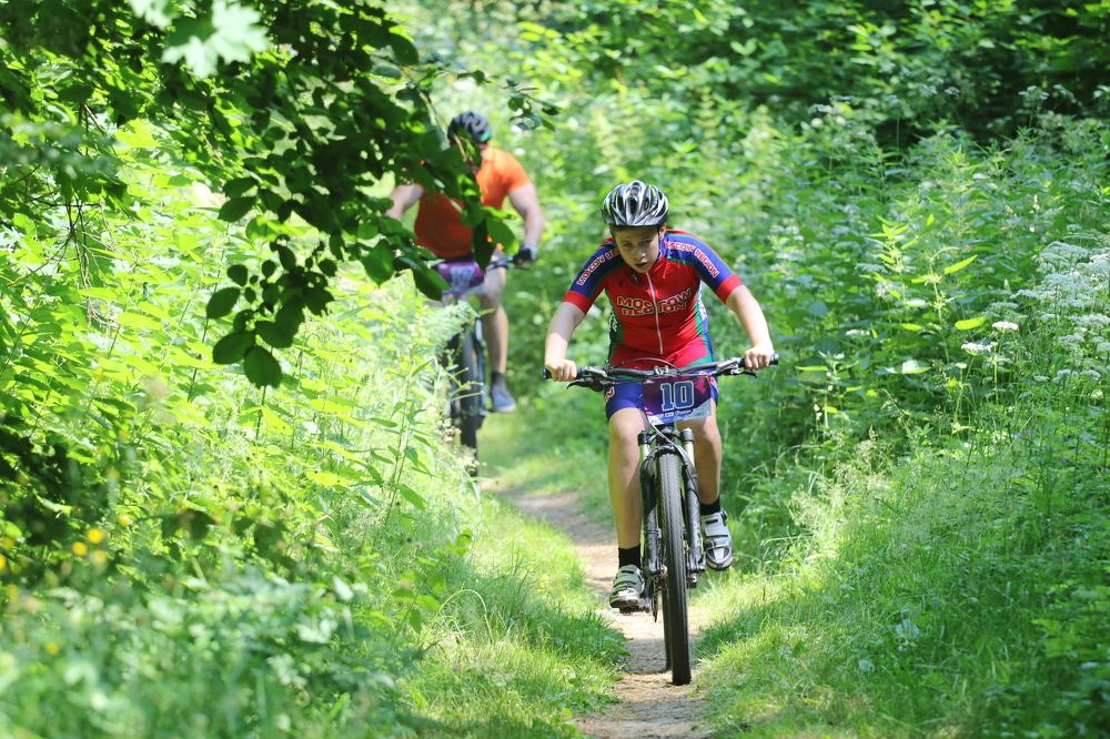 Фотография автора Елена Колосова