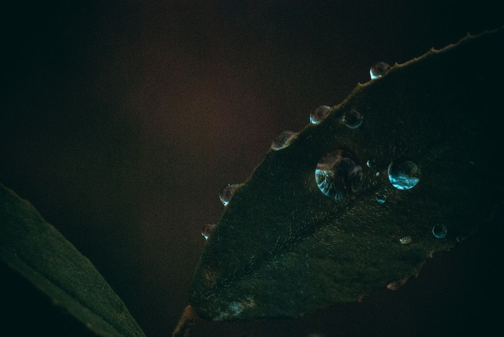 Бриллианты