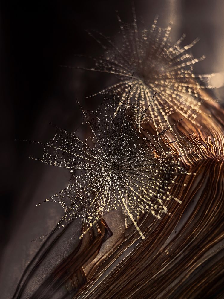 Photograph by Татьяна Полутина