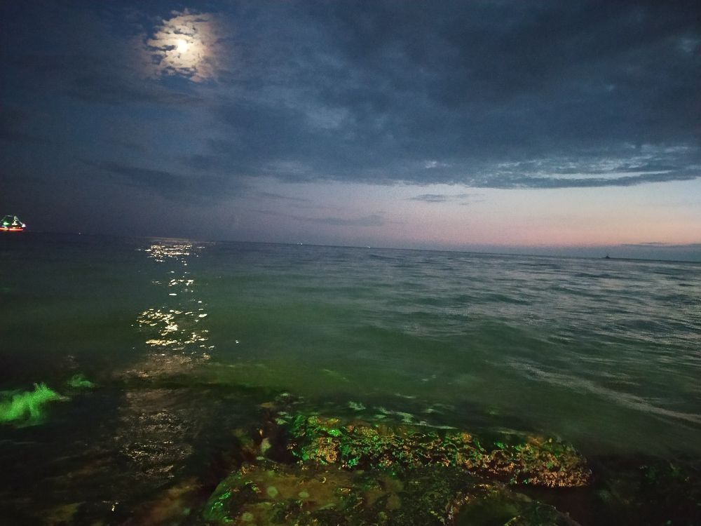 Photograph by Litvinova Ann