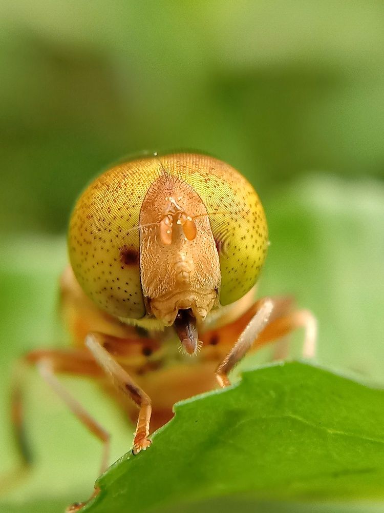 Photograph by Subhajit Jana