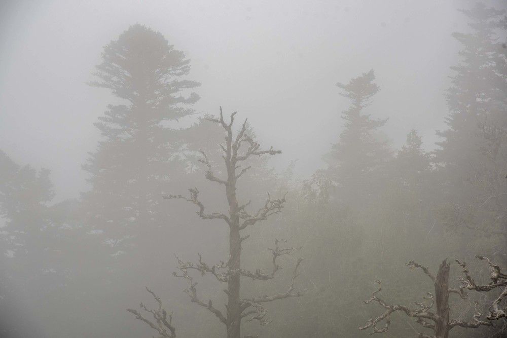 Photograph by Михаил Кравченко