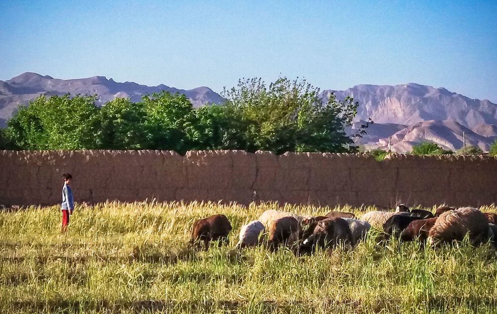 Photograph by safoura asghari